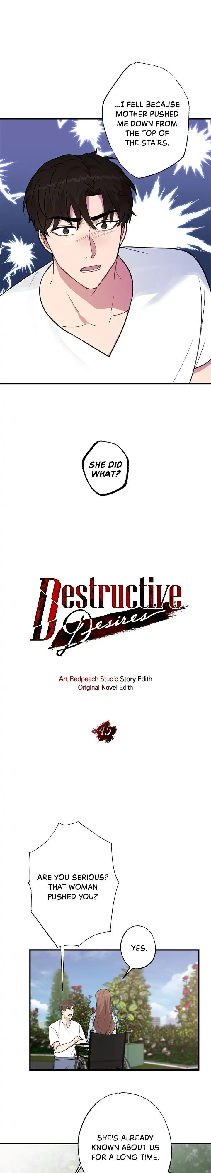 Destructive Desires-Chapter 45