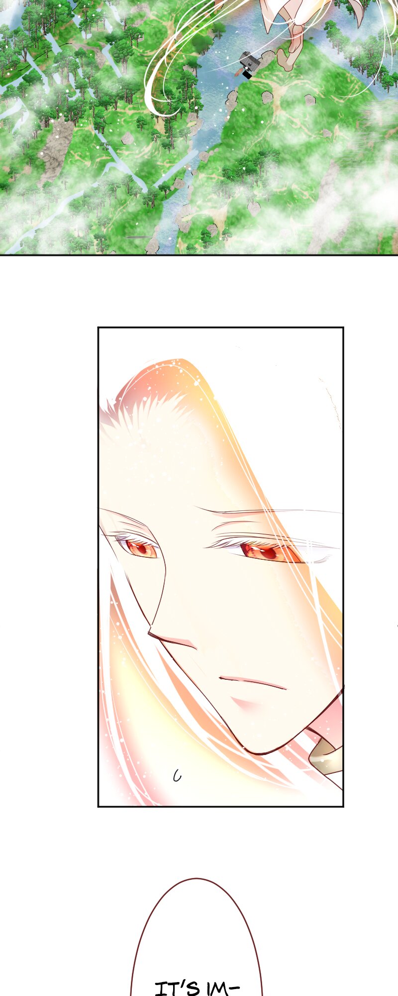 67361272 800 2000 189099